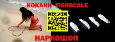 кокс Кингисепп
