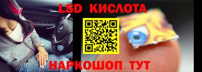 кокс Кингисепп