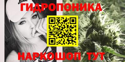 винт Кинель