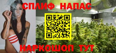 кокс Кингисепп