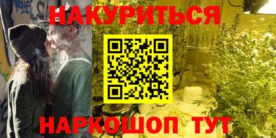 кокс Кингисепп