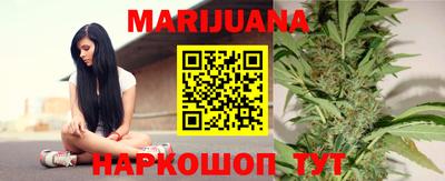кокс Кингисепп