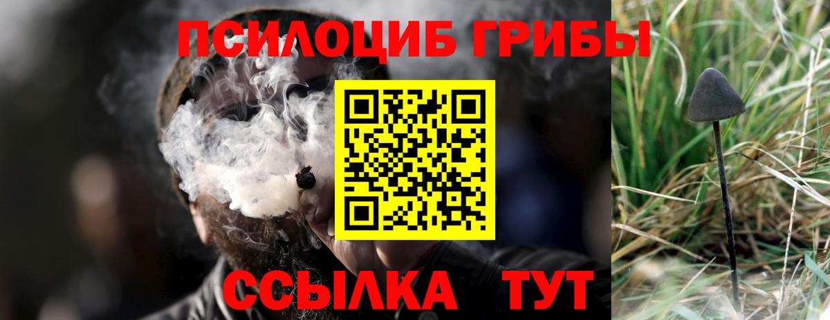 Красноуфимск  Псилоцибиновые грибы Psilocybine cubensis  Вход с VPN 